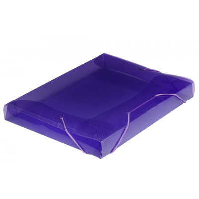 Caja plastica 1/2 Oficio 2,5 cm con elastico Rideo