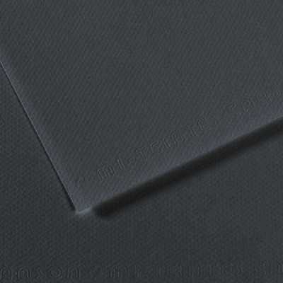 Hoja Mi-Teintes 50x65 cm (184) Gris Carbón de 160 gramos Canson