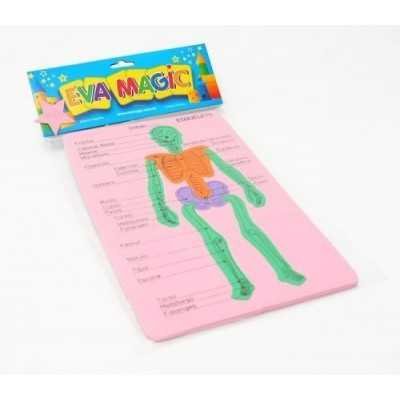 Goma eva Cuerpo humano sistema óseo 27x20cm