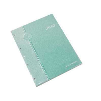 Repuesto Carta x 120 hojas rayado Cita Kit
