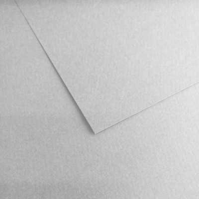 Hoja Mi-Teintes 50x65 cm (120) Gris Perla 160 gramos Canson