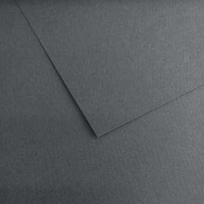 Hoja Mi-Teintes 50x65 cm (122) Gris Franela 160 gramos Canson