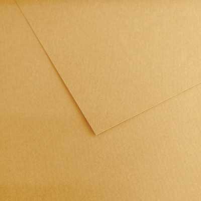 Hoja Mi-Teintes 50x65 cm (407) Liquen 160 gramos Canson