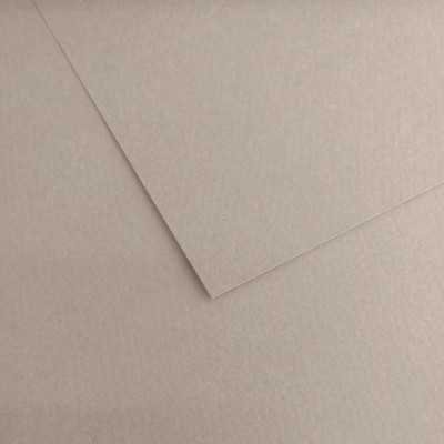 Hoja Mi-Teintes 50x65 cm (426) Gris Claro 160 gramos Canson