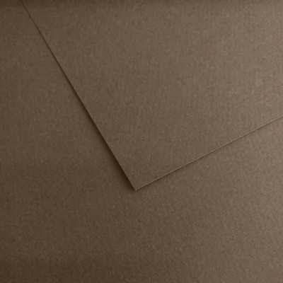 Hoja Mi-Teintes 50x65 cm (429) Gris humo 160 gramos Canson