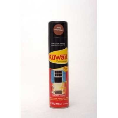 Barniz Aerosol BRILLANTE x440 cc Kuwait