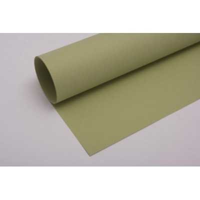 Hoja Tiziano 160gr 50x70cm 011-Verduzo Fabriano