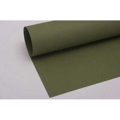 Hoja Tiziano 160gr 50x70cm 014-Muschio Fabriano