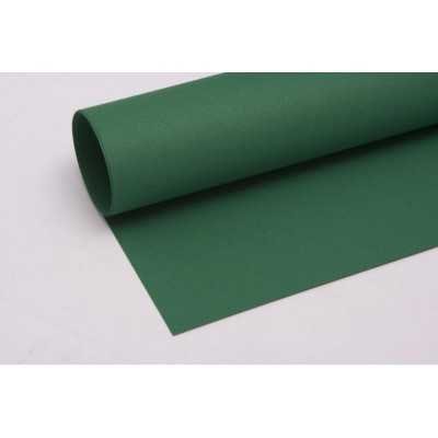 Hoja Tiziano 160gr 50x70cm 037-Biliardo Fabriano